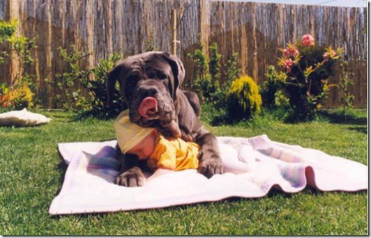 baby4